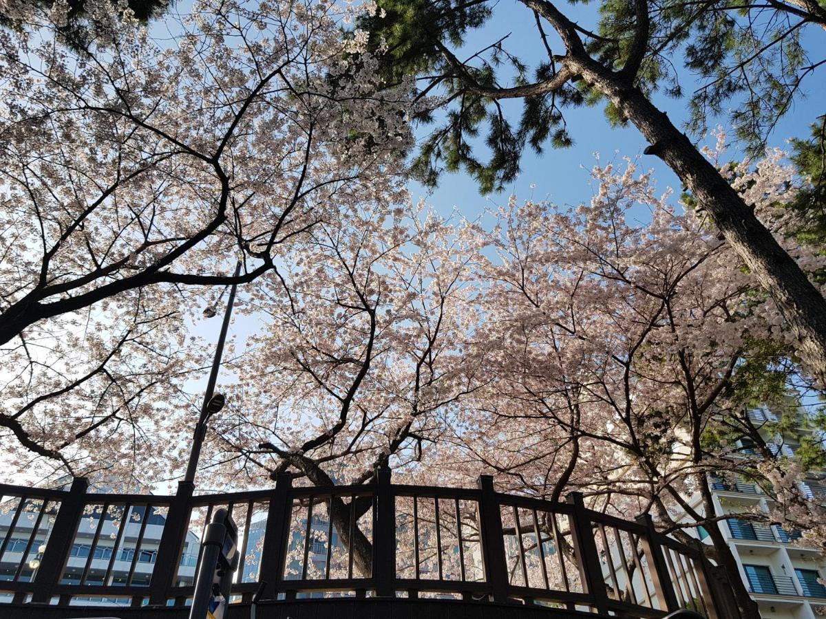 Suntree Hotel Pusan Zewnętrze zdjęcie